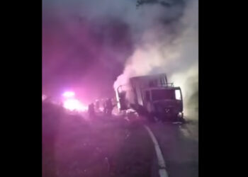 [Vídeo] Cavalos morrem carbonizados em incêndio em caminhão em Joinville