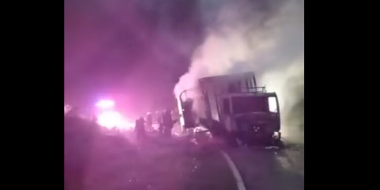 [Vídeo] Cavalos morrem carbonizados em incêndio em caminhão em Joinville