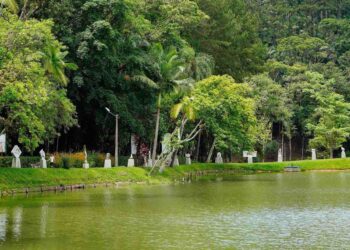 Parque Malwee completa 44 anos