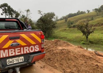 Buscas por advogada desaparecida em Rio dos Cedros são retomadas