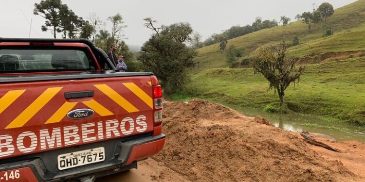 Buscas por advogada desaparecida em Rio dos Cedros são retomadas