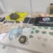 Operação prende envolvidos em tráfico de drogas em Guaramirim