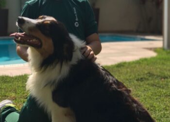 Guaramirense procura cachorro desaparecido