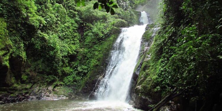 Bombeiros retomam buscas por mulher que caiu em cachoeira em Corupá