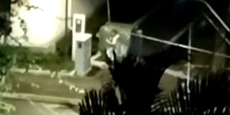 [Vídeo] Moradores flagram atos de vandalismo no Centro de Jaraguá