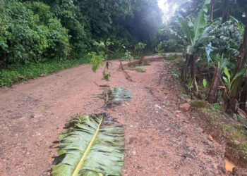 Rodovia na região do Rio Manso, em Jaraguá do Sul, é parcialmente interditada