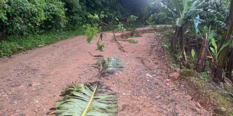 Rodovia na região do Rio Manso, em Jaraguá do Sul, é parcialmente interditada