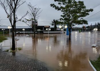 [Fotos] Rio Itapocu transborda e água invade a Via Verde