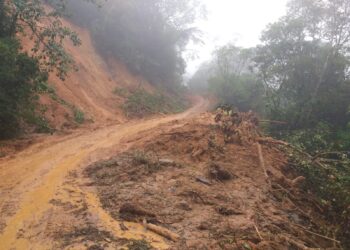 Defesa Civil de Jaraguá do Sul avisa que bairro Santa Luzia não é rota para caminhões