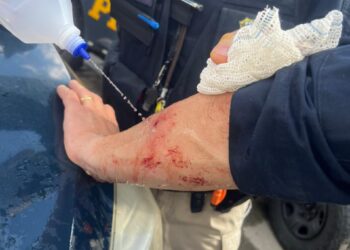 [Fotos] Homem é detido em SC por tentativa de homicídio contra agente da PRF