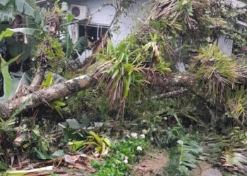[Fotos] Prefeitura divulga ocorrências devido às chuvas em Jaraguá do Sul