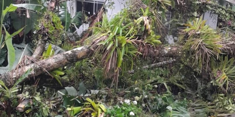 [Fotos] Prefeitura divulga ocorrências devido às chuvas em Jaraguá do Sul