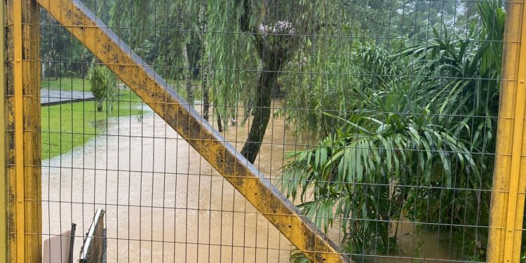 Chuva acumulada chega a 300 milímetros em Schroeder neste fim de semana