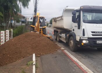 Defesa Civil de Jaraguá atendeu 34 ocorrências após vendaval de sexta-feira