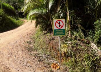 Prefeitura de Jaraguá do Sul impede trânsito de caminhões na estrada Tifa Canudos
