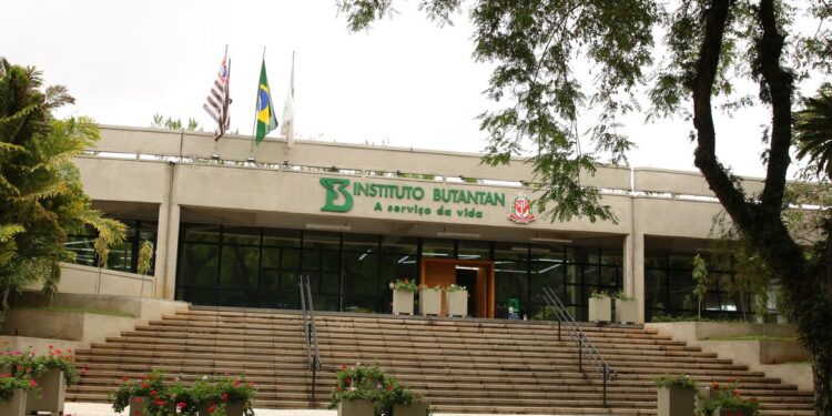 Vacina contra a dengue do Butantan atinge eficácia de 79,6%