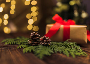 Procon de Jaraguá do Sul passa dicas para compras conscientes neste Natal