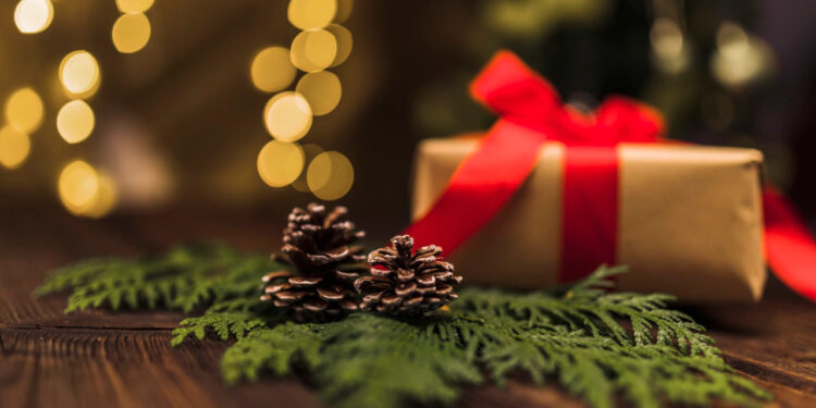 Procon de Jaraguá do Sul passa dicas para compras conscientes neste Natal