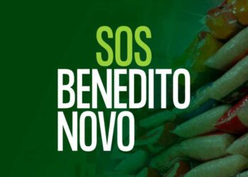 Jaraguá do Sul se mobiliza para auxiliar vítimas da chuva em Benedito Novo