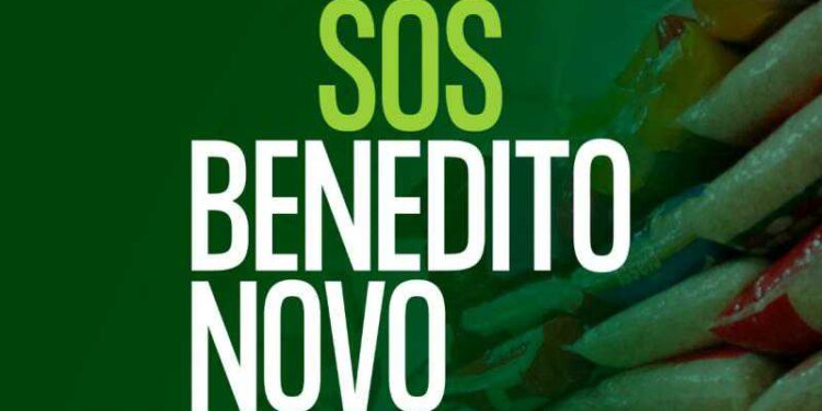 Jaraguá do Sul se mobiliza para auxiliar vítimas da chuva em Benedito Novo