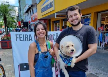 Cinco cães ganham um lar na feira de adoção da Fujama