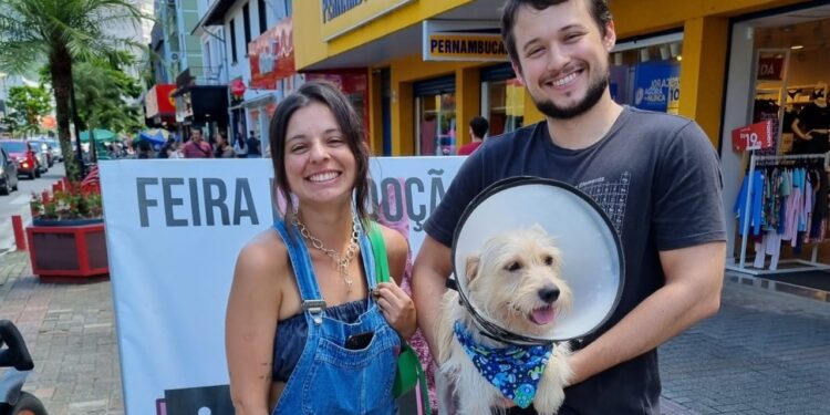 Cinco cães ganham um lar na feira de adoção da Fujama