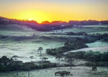 [Fotos] Primeira geada do ano é registrada em Santa Catarina
