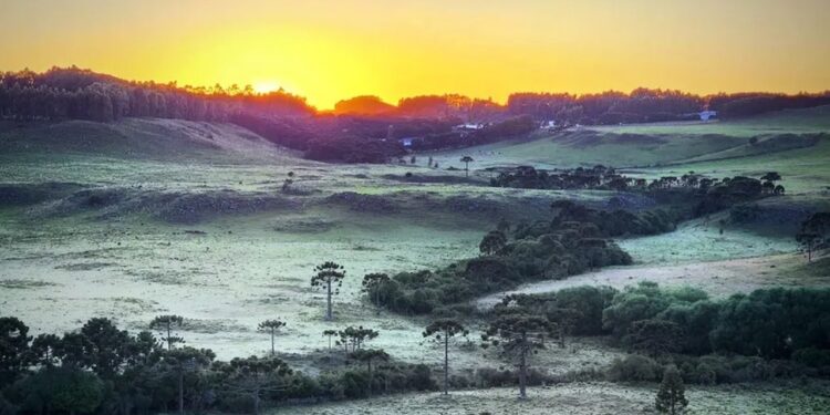 [Fotos] Primeira geada do ano é registrada em Santa Catarina