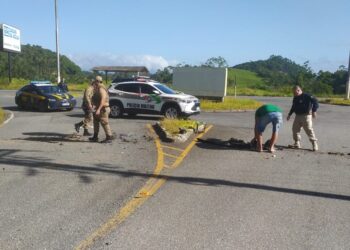 Após uma hora de bloqueio, acesso à Transpetro é liberado em Guaramirim