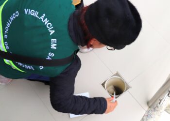 Casos de dengue em Jaraguá aumentam quase 500% em 2022