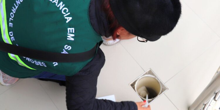 Casos de dengue em Jaraguá aumentam quase 500% em 2022