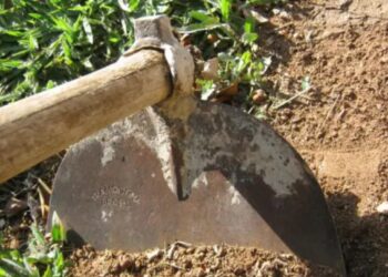 Vizinhas brigam após capinagem em Jaraguá do Sul