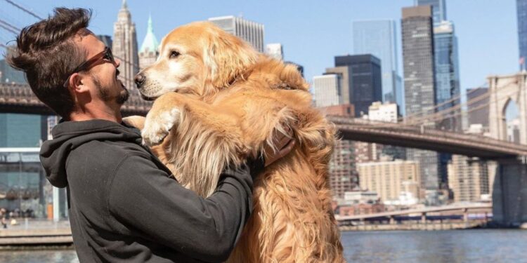 Governo de SC define data especial em homenagem a Jesse e Shurastey