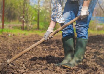 Idoso de 85 anos dá enxadada no vizinho de 70 em Guaramirim