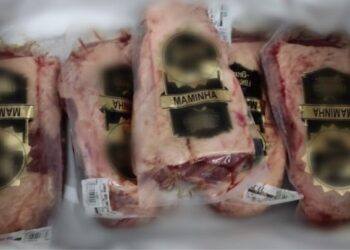 Homem furta mais de R$ 330 em carne no Centro de Jaraguá do Sul