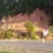 Novo deslizamento de terra atinge trecho da BR-280, em Corupá