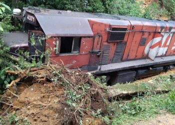 [Vídeo] Trem bate contra canteiro em Corupá