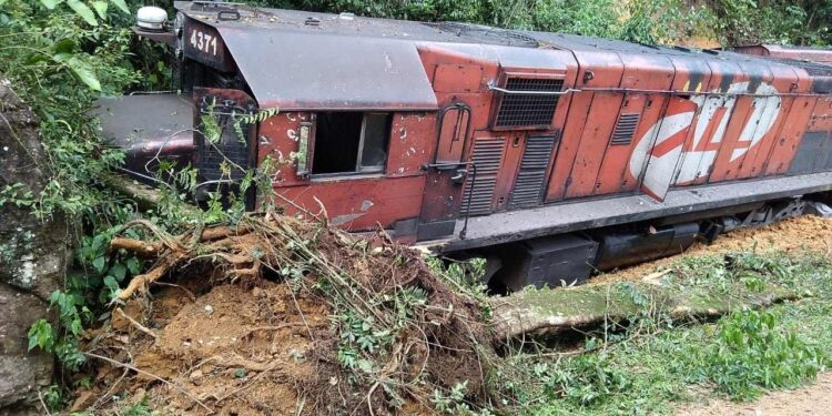 [Vídeo] Trem bate contra canteiro em Corupá