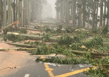 [Vídeo] Após chuva forte, São João do Itaperiú registra rastro de destruição