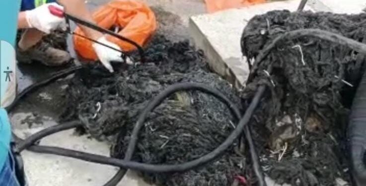 Cabelo é o que mais obstrui a rede coletora de esgoto em Jaraguá do Sul