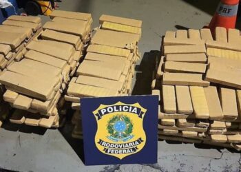 PRF apreende R$ 810 mil em maconha em Joinville