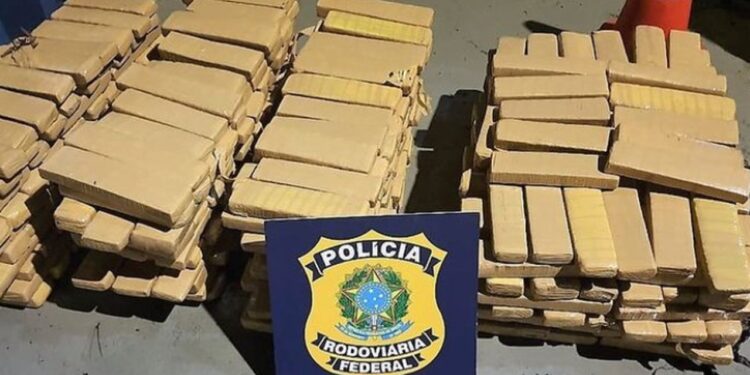 PRF apreende R$ 810 mil em maconha em Joinville