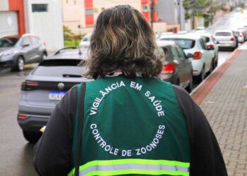 Rau está entre os bairros com mais focos de dengue em Jaraguá do Sul