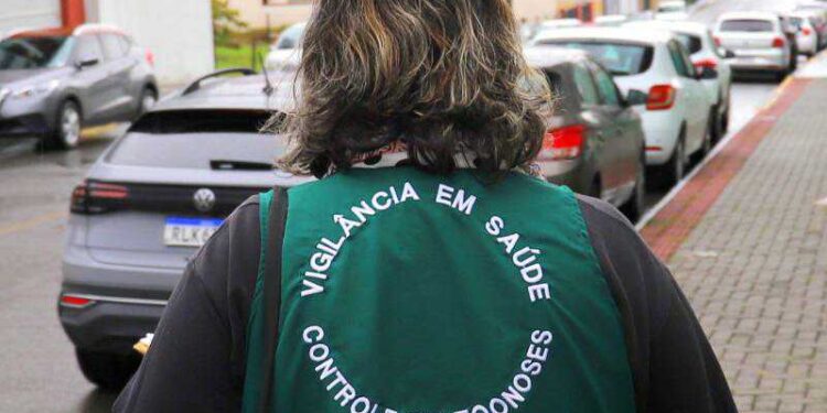 Rau está entre os bairros com mais focos de dengue em Jaraguá do Sul