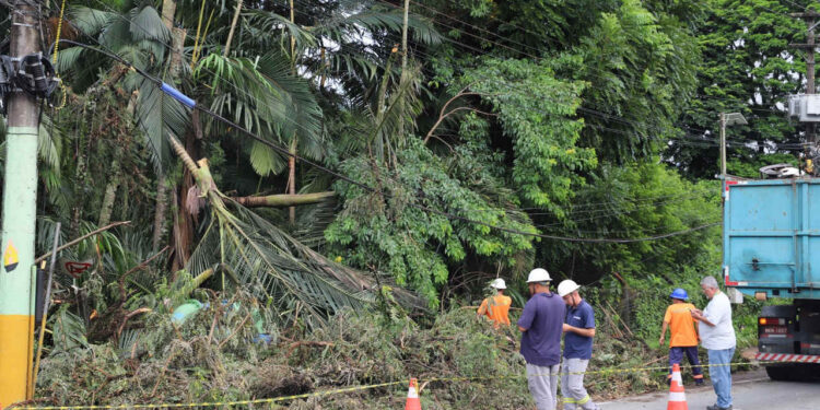 Ventos entre 55 e 60 quilômetros atingiram região de Jaraguá do Sul no sábado