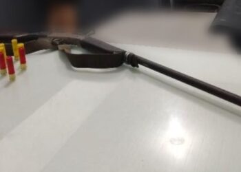 Homem é preso por porte ilegal de arma de fogo e maus-tratos de animais em Schroeder