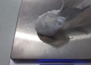 Casal é detido por posse de cocaína em Guaramirim