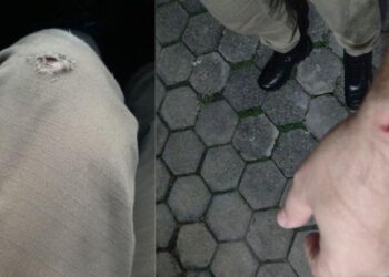 [Vídeo] Homem reage a abordagem e morde policial em Guaramirim