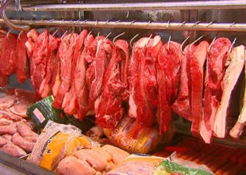 Preços das carnes no Brasil têm maior redução em 15 meses