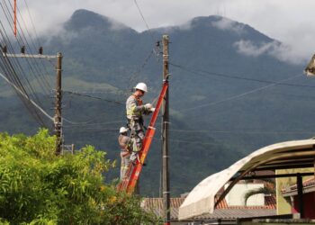 Celesc inicia a limpeza da rede elétrica de Jaraguá do Sul